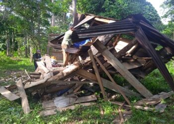 Empat kebun masyarakat di desa Ranto Sabon, Sampoiniet, Aceh Jaya rusak usai dimasuki gajah jinak, Rabu (26/07/2023) dini hari. FOTO/Humas CRU Sampoiniet