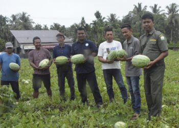 Kader UBI Ajari Petani Aceh Barat Buka Lahan Tanpa Bakar