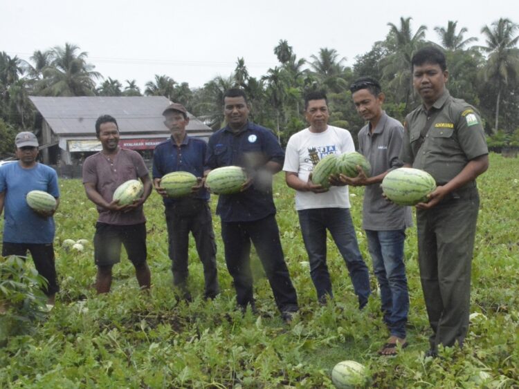 Kader UBI Ajari Petani Aceh Barat Buka Lahan Tanpa Bakar