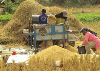 Ilustrasi kelangkaan pangan yang diduga dan disampaikan oleh Pemerintah diakibatkan fenomena El Nino. FOTO/Net. Ⓒ Hak cipta foto di atas dikembalikan sesungguhnya kepada pemilik foto
