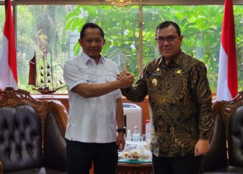 Berkinerja Baik, Pj Bupati Aceh Barat Terima Penghargaan Dari Mendagri