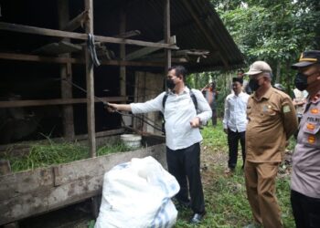 Tanggap Kasus PMK, Distan Aceh Besar Sambangi Ternak di Darul Kamal