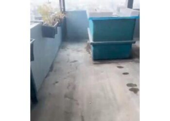 Heboh Temuan Mayat di Kampus Unpri Medan, Warganet Curiga Itu Cadaver: Belinya di Dinas Pemakaman