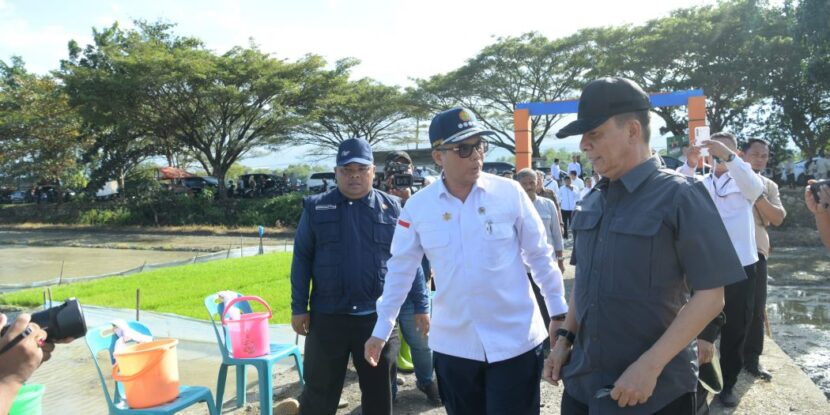Pj Gubernur Aceh dan Wamentan Tanam Padi Perdana di Indrapuri