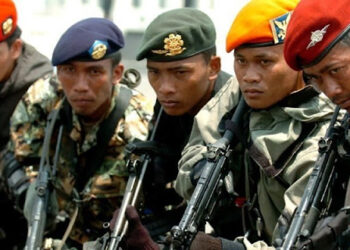 Ketimbang Minta Kenaikan Uang Lauk Pauk, TNI Sebaiknya Perjuangkan Batalyon Cyber