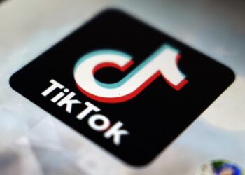 Salah satu media sosial yang mempopulerkan istilah gemoy atau gemay adalah TikTok.