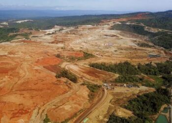 26 Ribu Hektare Hutan di Malut Rusak Akibat Hilirisasi Nikel, Jumlah Penduduk Miskin Bertambah