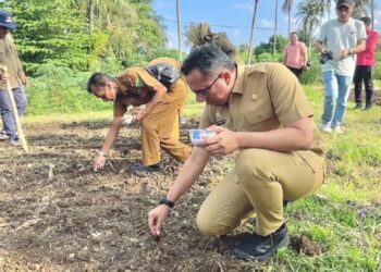 Pemko Sabang Kembali Uji Coba Penanaman Padi Gogo di Lahan Petani