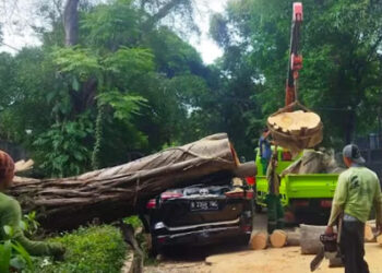 Ganjar jadi Saksi Mata Pohon Tumbang di Depan Rumah Prabowo