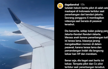 Cerita Penumpang yang Pilotnya Tertidur, Momen di Pesawat Diabadikan