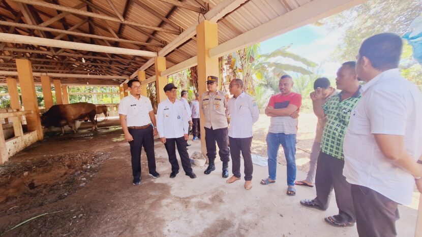 Jelang Ramadhan, Stok Hewan Ternak dan Sembako di Aceh Jaya Aman