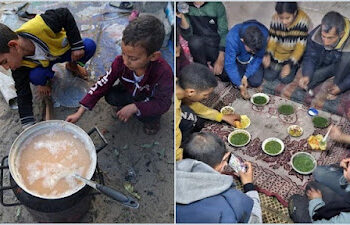 Kelaparan, Warga Gaza Masak Rumput untuk Berbuka Puasa