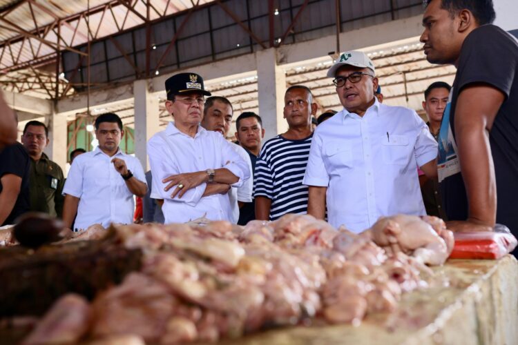 Pj Gubernur Aceh Pantau Stok dan Harga Pangan di Pasar Al Mahirah dan Lambaro