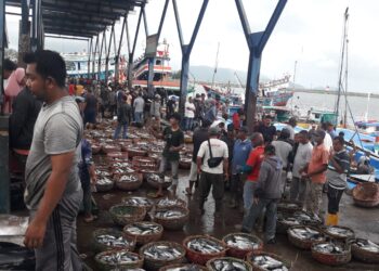 Cold Storage di PPS Kutaraja Lampulo Full