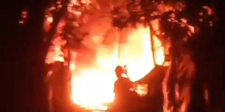 Ⓒ 上述照片的版权归属实际归属于照片所有者。