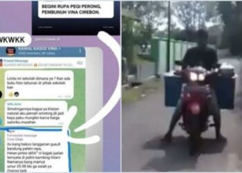Pegi Disebut Tukang Bakso yang Dijadikan Kambing Hitam, Benarkah? Ini Hasil Penelurusan Media