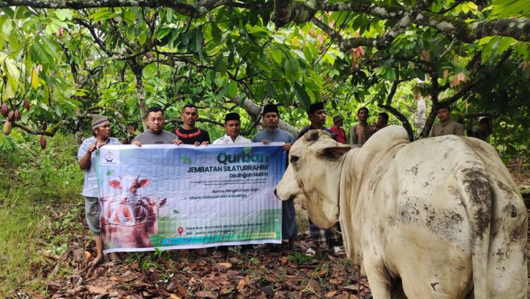 Ⓒ Hak cipta foto di atas dikembalikan sesungguhnya kepada pemilik foto Ⓒ Hak cipta foto di atas dikembalikan sesungguhnya kepada pemilik foto