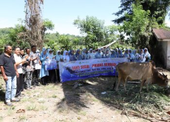 PIKABAS serahkan satu ekor sapi hewan kurban jelang Hari Raya Idul Adha 1445 H di wilayah Aceh Besar Desa Lambunot Kecamatan Kutabaro, Desa Panca, Desa Lamkubu dan Desa Alue Rindang Kecamatan Lembah Selawah pada 12-13 Juni 2024. FOTO/Dok. Bank Aceh Syariah. Ⓒ Hak cipta foto di atas dikembalikan sesungguhnya kepada pemilik foto