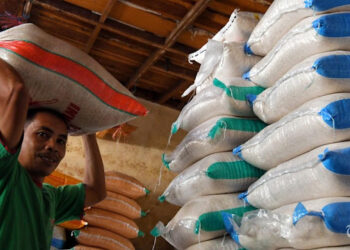 Pemerintah Resmi Naikkan Harga Eceran Tertinggi Beras Medium dan Premium, Ini Detailnya
