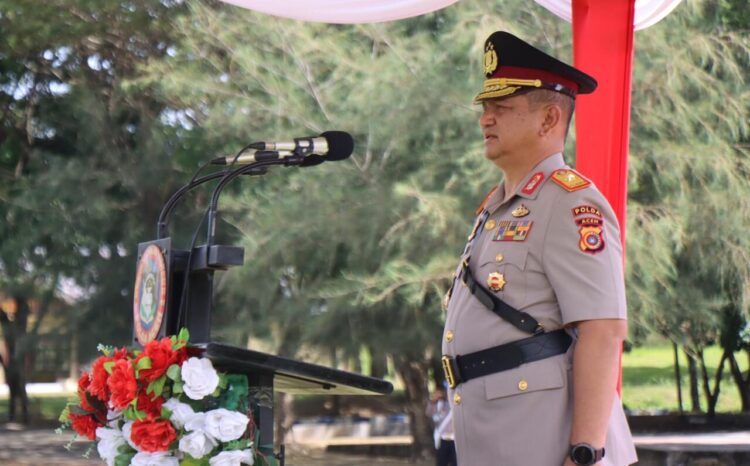spot_img