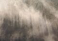Ilustrasi Kabut Asap yang disebabkan dari Kebakaran Hutan dan Lahan. FOTO/Net. Ⓒ Hak cipta foto di atas dikembalikan sesungguhnya kepada pemilik foto