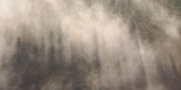 Ilustrasi Kabut Asap yang disebabkan dari Kebakaran Hutan dan Lahan. FOTO/Net. Ⓒ Hak cipta foto di atas dikembalikan sesungguhnya kepada pemilik foto