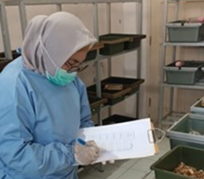 Ⓒ Hak cipta foto di atas dikembalikan sesungguhnya kepada pemilik foto