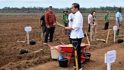 Guru Besar IPB Ragukan Proyek Food Estate Cetak Sawah dan Tebu di Merauke, Prediksi Gagal Lagi