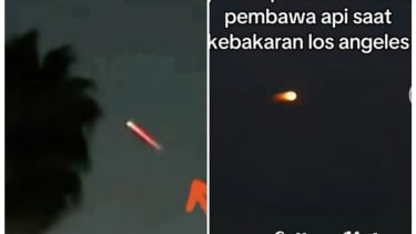 Geger Burung Ababil Terekam Kamera di Langit Los Angeles Sebelum Kebakaran, Ternyata Betul Ya?