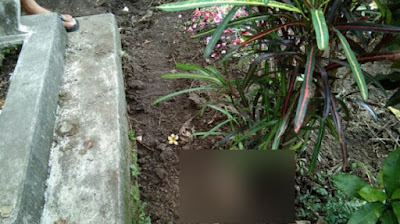 Ⓒ Hak cipta foto di atas dikembalikan sesungguhnya kepada sang pemilik foto Ⓒ Hak cipta foto di atas dikembalikan sesungguhnya kepada pemilik foto