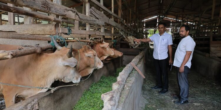 Ⓒ Hak cipta foto di atas dikembalikan sesungguhnya kepada pemilik foto