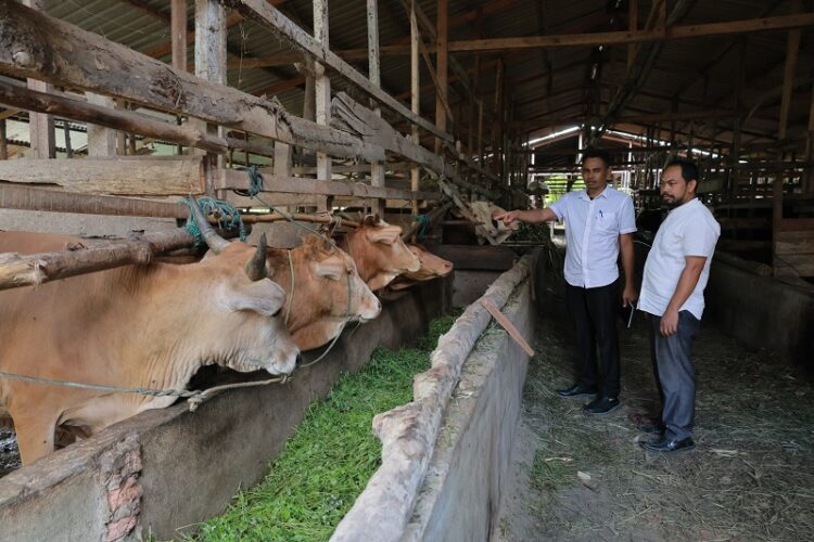 Ⓒ Hak cipta foto di atas dikembalikan sesungguhnya kepada pemilik foto
