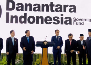 Danantara: Panduan untuk Orang Idiot