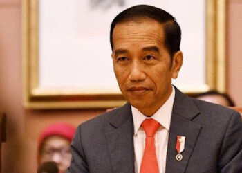 Terungkap! Jokowi Lebih Dulu Tertarik Bangun SWF Ala Indonesia