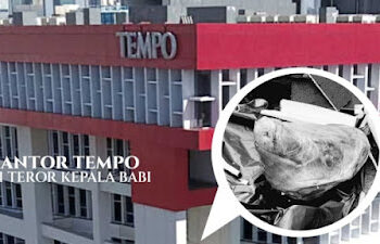 Teror Kepala Babi dan Bangkai Tikus ke Jurnalis Tempo Diduga Politik Playing Victim