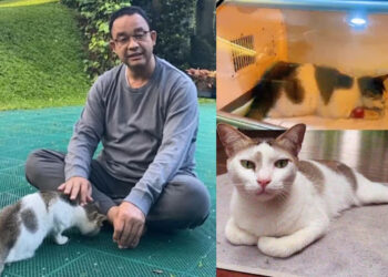 Anies Berduka, Ucapkan Selamat Jalan untuk Selamanya