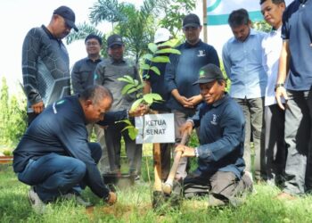 UIN Ar-Raniry Tanam 500 Pohon Matoa pada Hari Bumi