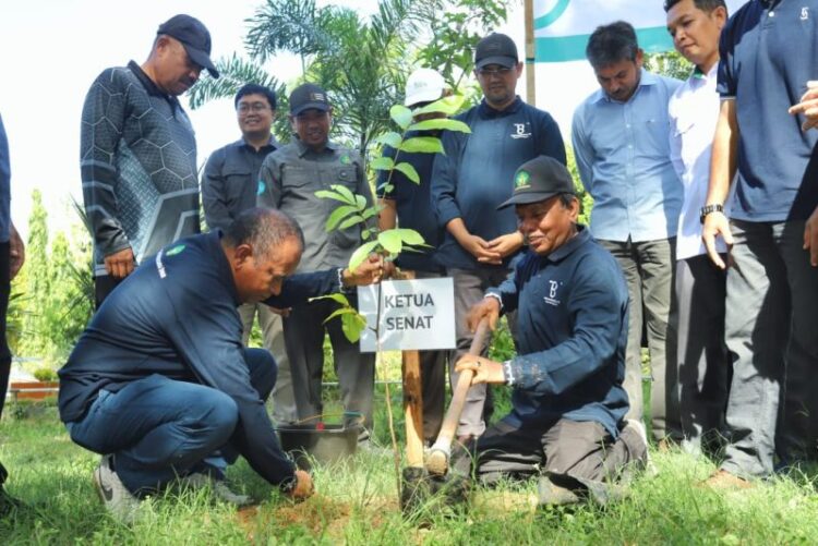 UIN Ar-Raniry Tanam 500 Pohon Matoa pada Hari Bumi