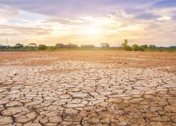 Waspada Kemarau, BMKG: Indonesia Berpotensi Alami Kekeringan Meteorologis