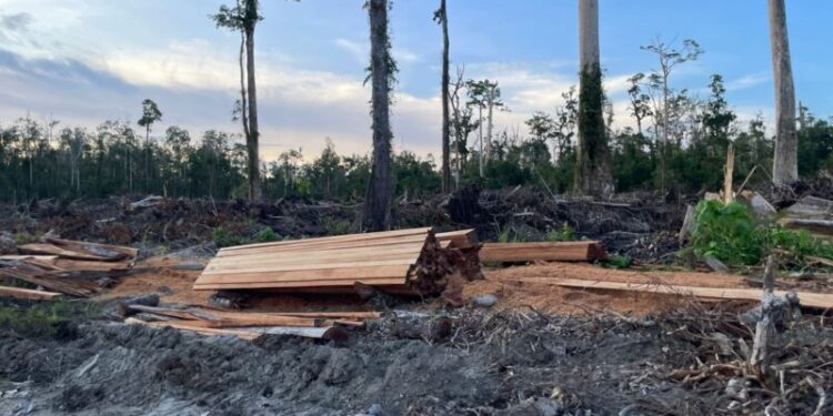 Ⓒ Hak cipta foto di atas dikembalikan sesungguhnya kepada sang pemilik foto Ⓒ Hak cipta foto di atas dikembalikan sesungguhnya kepada pemilik foto