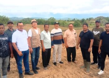Aceh Besar Siapkan 200 Hektare Lahan Jagung di Kuta Cot Glie