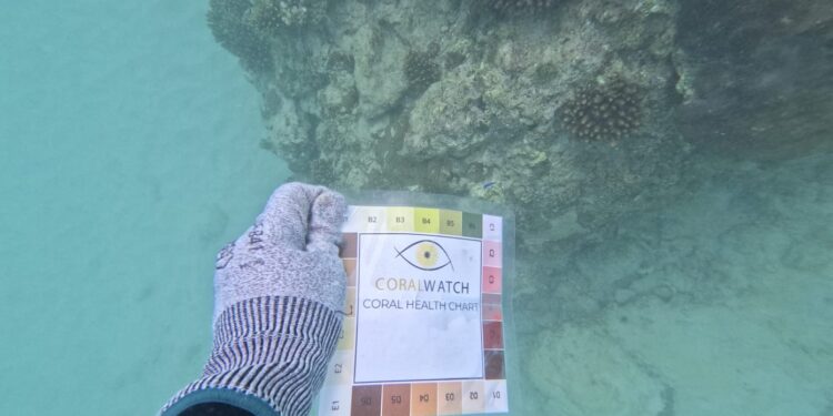 Ⓒ Hak cipta foto di atas dikembalikan sesungguhnya kepada sang pemilik foto Ⓒ Hak cipta foto di atas dikembalikan sesungguhnya kepada pemilik foto