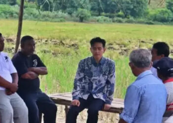 Secara Teori Pemakzulan Gibran Dimungkinkan, Ini Caranya