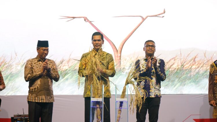 Ⓒ Hak cipta foto di atas dikembalikan sesungguhnya kepada pemilik foto