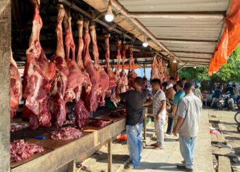 Jelang Idul Adha, Harga Daging di Pasar Induk Lambaro Masih Stabil