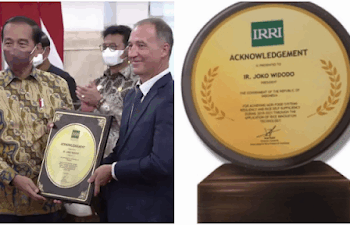 Jokowi menerima penghargaan International Rice Research Institute (IRRI) atas Sistem Pertanian-Pangan Tangguh dan Swasembada Beras Tahun 2019-2021 melalui Penggunaan Teknologi Inovasi Padi. FOTO/Kolase. Ⓒ Hak cipta foto di atas dikembalikan sesungguhnya kepada pemilik foto