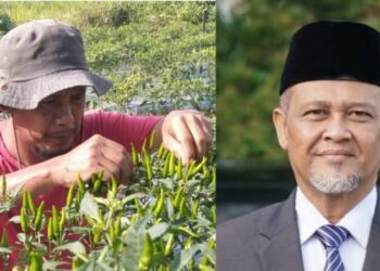 Dinilai Abai Tangani Pungli di Madrasah, Petani Cabai Ini Minta Kakankemenag Banda Aceh Dicopot
