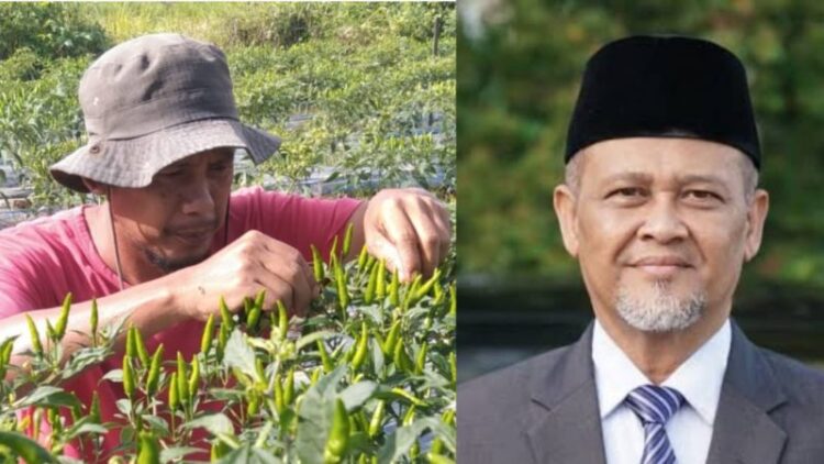 Dinilai Abai Tangani Pungli di Madrasah, Petani Cabai Ini Minta Kakankemenag Banda Aceh Dicopot