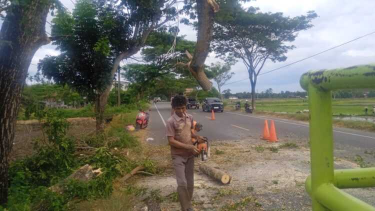 Ⓒ Hak cipta foto di atas dikembalikan sesungguhnya kepada pemilik foto