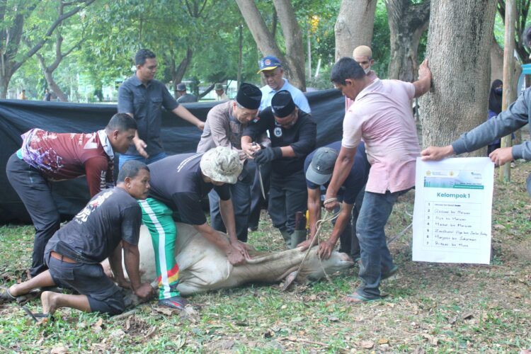 Green Qurban 1446 H, Rumah Amal USK Salurkan 880 Paket Daging ke Warga